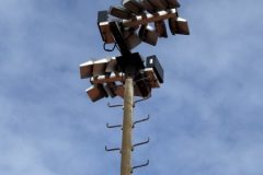 IMG_1236