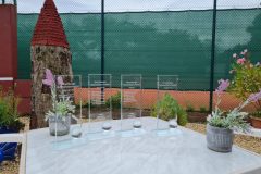 IMG-20240804-WA0008